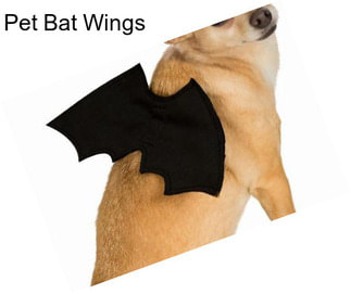 Pet Bat Wings