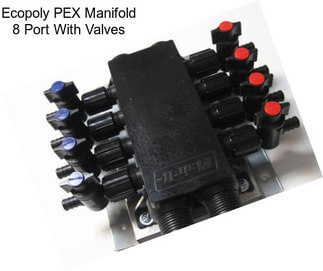 Ecopoly PEX Manifold 8 Port With Valves