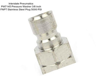 Interstate Pneumatics PW7145 Pressure Washer 3/8 inch FNPT Stainless Steel Plug 5000 PSI