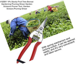 VGEBY 1Pc Sturdy Fruit Tree Bonsai Gardening Pruning Shear Garden Scissors Pruner Tool, Garden Scissor,Pruning Shear