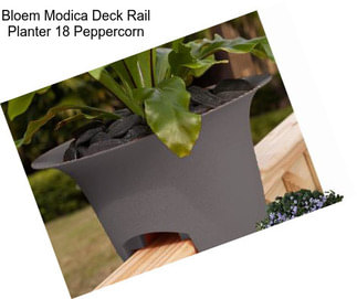 Bloem Modica Deck Rail Planter 18\