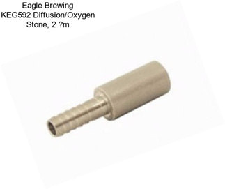 Eagle Brewing KEG592 Diffusion/Oxygen Stone, 2 ?m