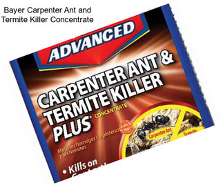 Bayer Carpenter Ant and Termite Killer Concentrate