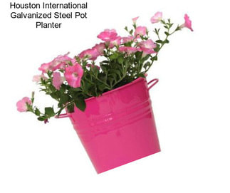 Houston International Galvanized Steel Pot Planter