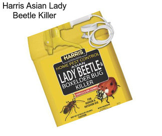 Harris Asian Lady Beetle Killer