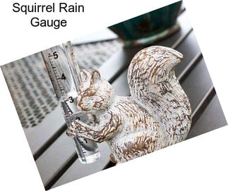 Squirrel Rain Gauge