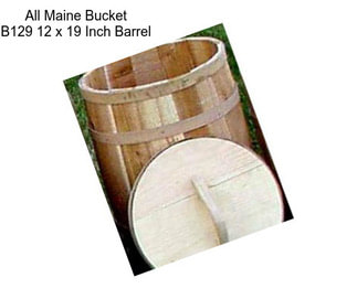 All Maine Bucket B129 12 x 19 Inch Barrel