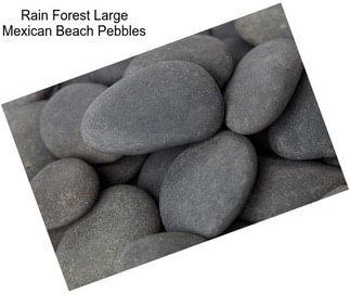 Rain Forest Large Mexican Beach Pebbles