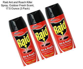 Raid Ant and Roach Killer Spray, Outdoor Fresh Scent, 17.5 Ounce (3 Pack)
