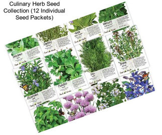 Culinary Herb Seed Collection (12 Individual Seed Packets)