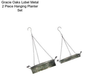 Gracie Oaks Lobel Metal 2 Piece Hanging Planter Set