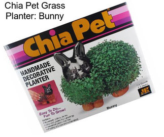 Chia Pet Grass Planter: Bunny