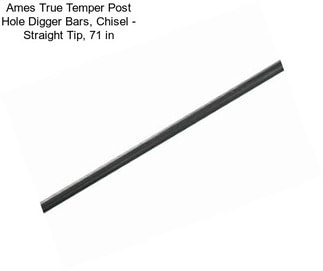 Ames True Temper Post Hole Digger Bars, Chisel - Straight Tip, 71 in