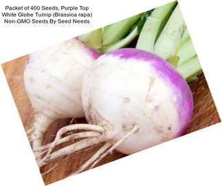 Packet of 400 Seeds, Purple Top White Globe Turnip (Brassica rapa) Non-GMO Seeds By Seed Needs