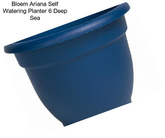 Bloem Ariana Self Watering Planter 6\