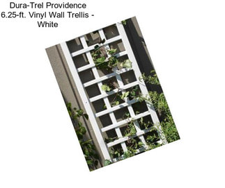 Dura-Trel Providence 6.25-ft. Vinyl Wall Trellis - White