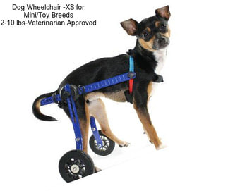 Dog Wheelchair -XS for Mini/Toy Breeds 2-10 lbs-Veterinarian Approved