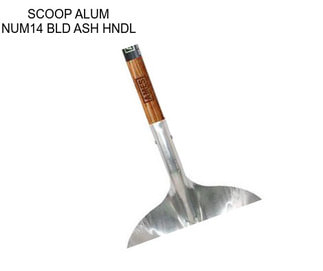 SCOOP ALUM NUM14 BLD ASH HNDL