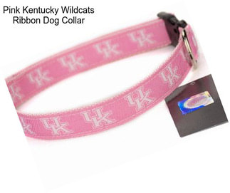 Pink Kentucky Wildcats Ribbon Dog Collar