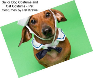 Sailor Dog Costume and Cat Costume - Pet Costumes by Pet Krewe