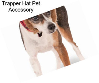 Trapper Hat Pet Accessory