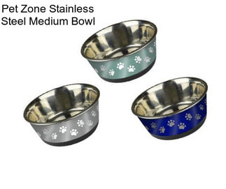 Pet Zone Stainless Steel Medium Bowl