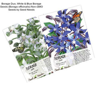 Borage Duo, White & Blue Borage Seeds (Borago officinalis) Non-GMO Seeds by Seed Needs