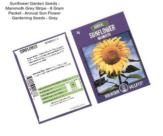 Sunflower Garden Seeds - Mammoth Grey Stripe - 8 Gram Packet - Annual Sun Flower Gardening Seeds - Gray
