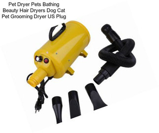 Pet Dryer Pets Bathing Beauty Hair Dryers Dog Cat Pet Grooming Dryer US Plug