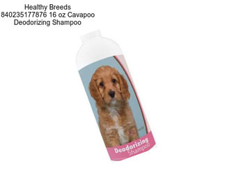 Healthy Breeds 840235177876 16 oz Cavapoo Deodorizing Shampoo