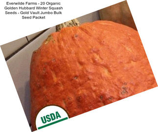 Everwilde Farms - 20 Organic Golden Hubbard Winter Squash Seeds - Gold Vault Jumbo Bulk Seed Packet