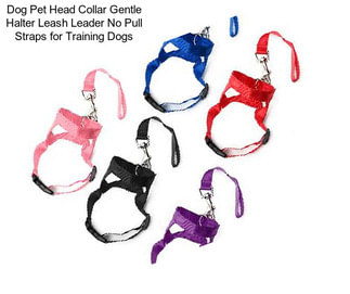 Dog Pet Head Collar Gentle Halter Leash Leader No Pull Straps for Training Dogs