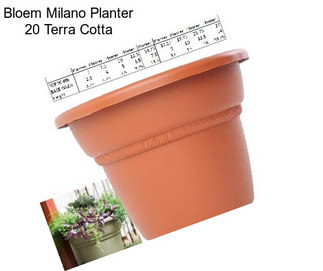 Bloem Milano Planter 20\