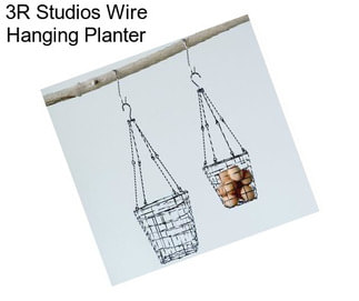 3R Studios Wire Hanging Planter