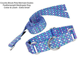 Country Brook Petz Mermaid Scales Featherweight Martingale Dog Collar & Leash - Extra Small