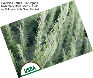 Everwilde Farms - 25 Organic Rosemary Herb Seeds - Gold Vault Jumbo Bulk Seed Packet