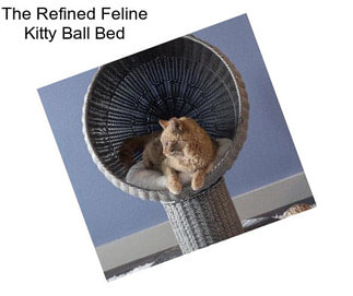 The Refined Feline Kitty Ball Bed