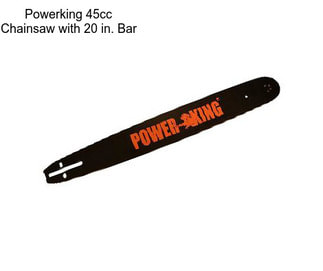 Powerking 45cc Chainsaw with 20 in. Bar