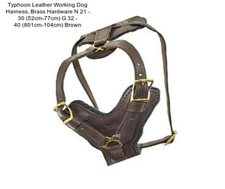 Typhoon Leather Working Dog Harness, Brass Hardware N 21\