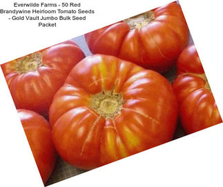 Everwilde Farms - 50 Red Brandywine Heirloom Tomato Seeds - Gold Vault Jumbo Bulk Seed Packet