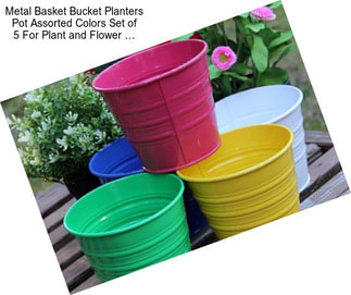 Metal Basket Bucket Planters Pot Assorted Colors Set of 5 For Plant and Flower …