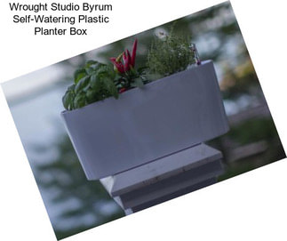 Wrought Studio Byrum Self-Watering Plastic Planter Box