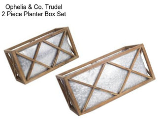 Ophelia & Co. Trudel 2 Piece Planter Box Set