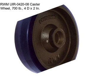 RWM UIR-0420-08 Caster Wheel, 700 lb., 4 D x 2 In.