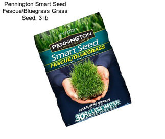 Pennington Smart Seed Fescue/Bluegrass Grass Seed, 3 lb