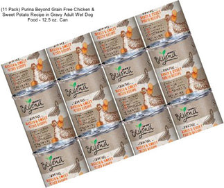 (11 Pack) Purina Beyond Grain Free Chicken & Sweet Potato Recipe in Gravy Adult Wet Dog Food - 12.5 oz. Can