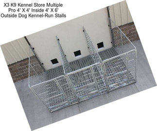 X3 K9 Kennel Store Multiple Pro 4\' X 4\' Inside 4\' X 6\' Outside Dog Kennel-Run Stalls