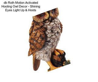 Db Roth Motion Activated Hooting Owl Decor - Shining Eyes Light Up & Hoots