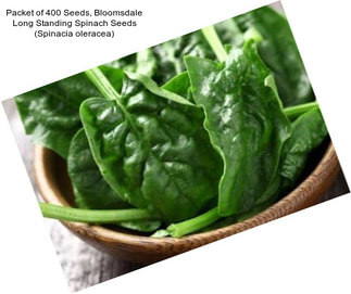 Packet of 400 Seeds, Bloomsdale Long Standing Spinach Seeds (Spinacia oleracea)