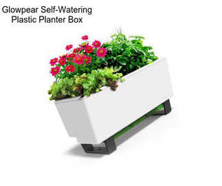 Glowpear Self-Watering Plastic Planter Box